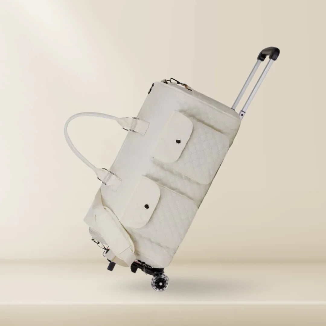 BagPack: Wheeled Version